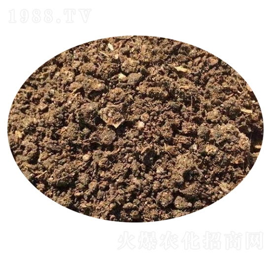 �l(f��)����S��-��������