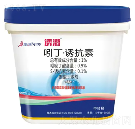 �T��-ʩ������