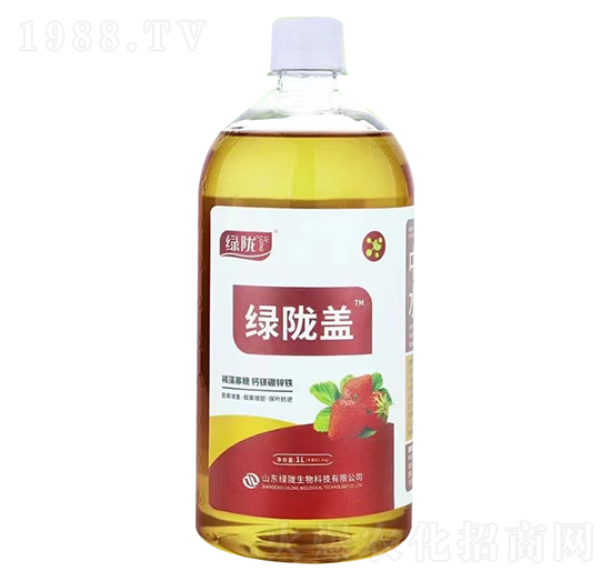 ��������}�V���\�F-�G�]�w-�G�]����