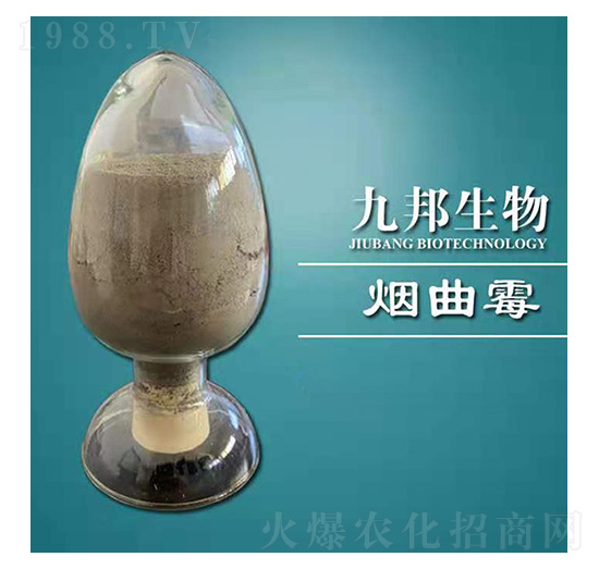 煙曲霉-九邦生物