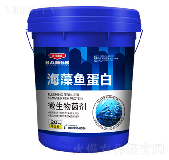 海藻魚(yú)蛋白-邦保國(guó)際