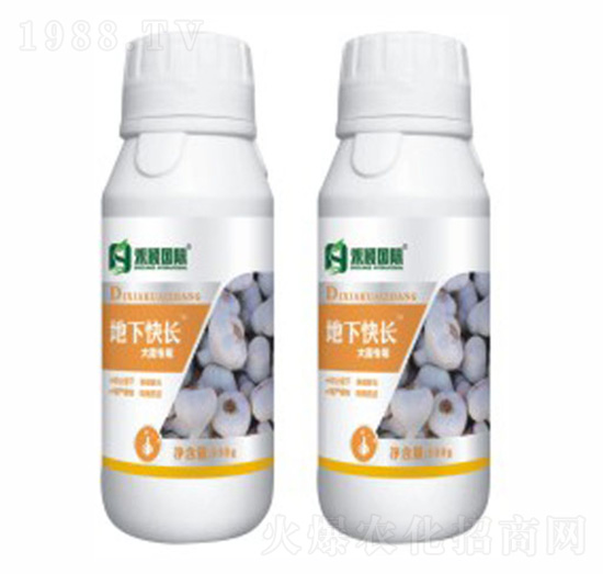 蒜、蔥、姜專用葉面肥-地下快長-禾穎生物