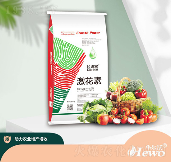 ������-��ķ��-�A����