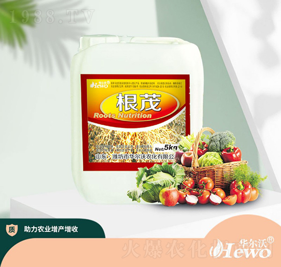 ��ï-�A����