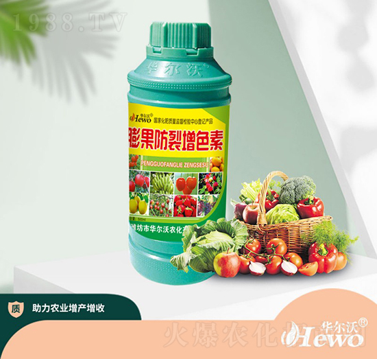 ���������ɫ��-�A����