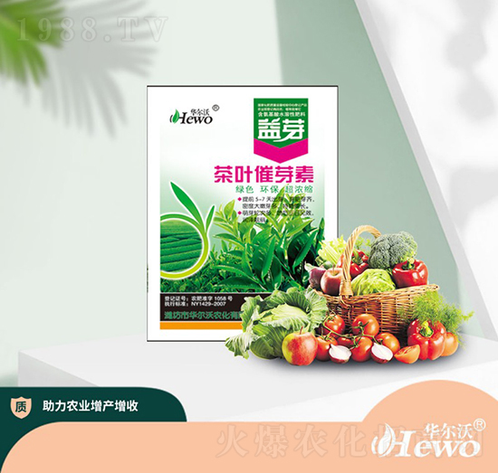 ���~��ѿ��-�A����