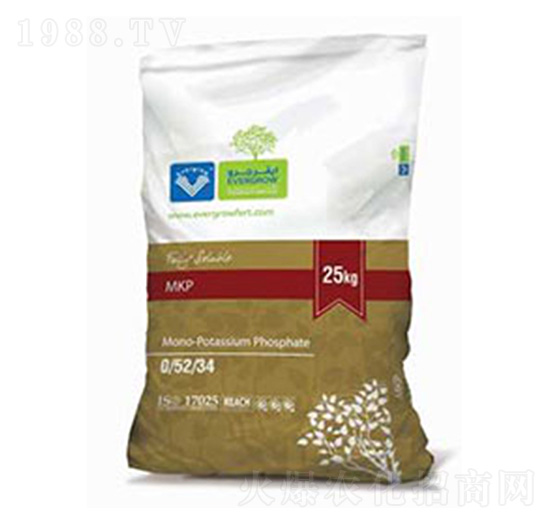 ������0-52-34-����