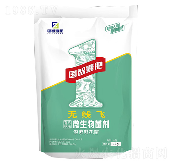 無線飛-國智壹肥