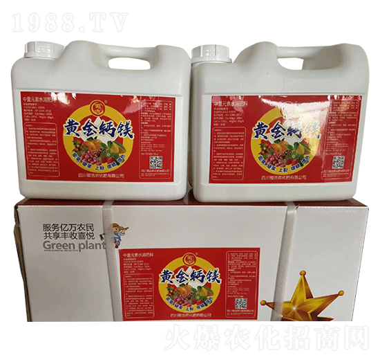 �S���}�V-��ƕN����