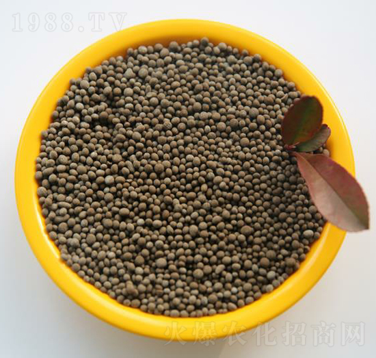 �����ι���w��-���B��