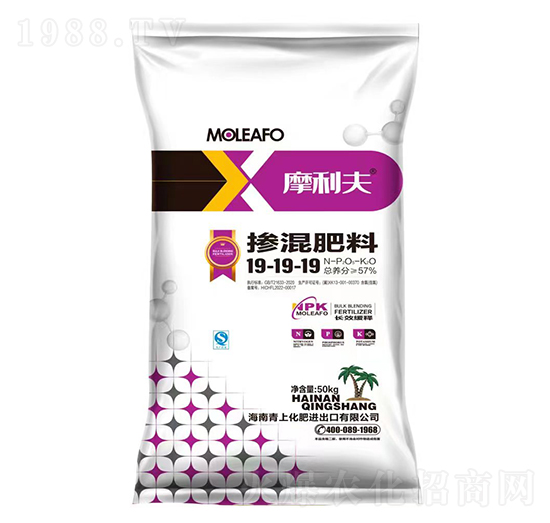 �������19-19-19-Ħ����-���ϻ���