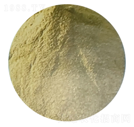 ��(f��)��������ۣ��}�V�ͣ�-�h��ʘI(y��)