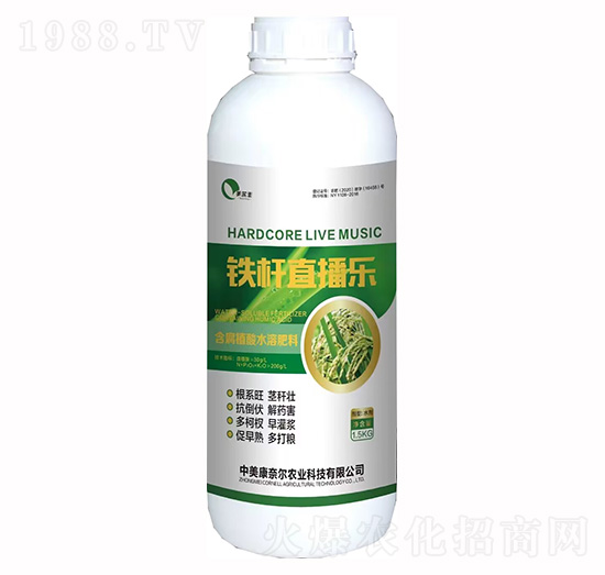 鐵桿直播樂-美爾豐-康奈爾