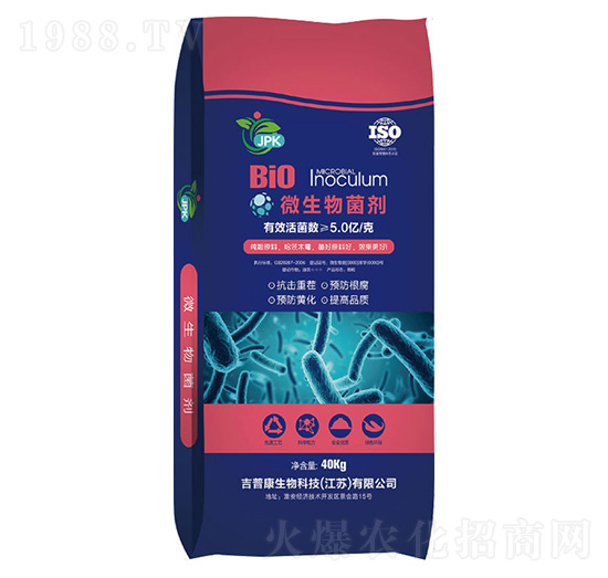 ΢�������-���տ�