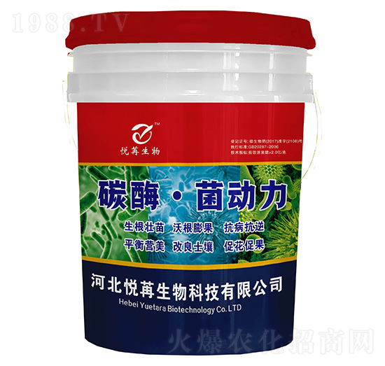 ̼ø������-����