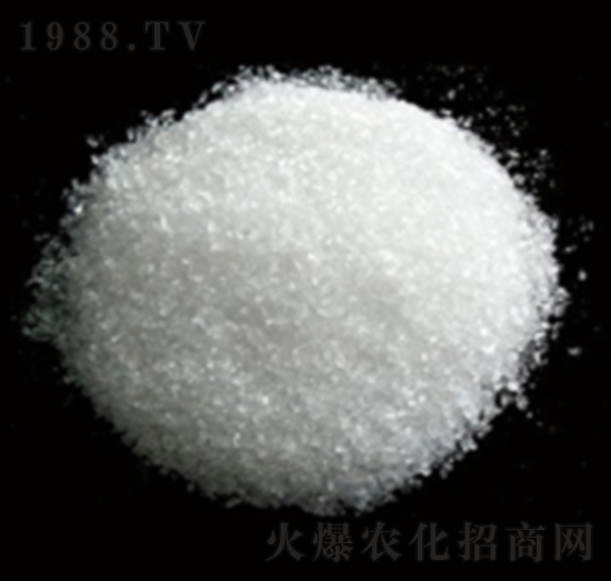 ��ˮ�����VС�w��-�Vï�Ƽ�