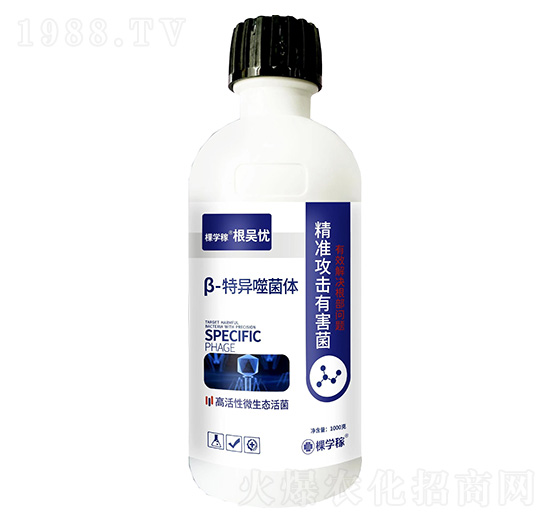β-特異噬菌體-根吳憂(yōu)-棵學(xué)稼