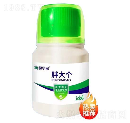 含腐植酸水溶肥料-胖大個(gè)-棵學(xué)稼