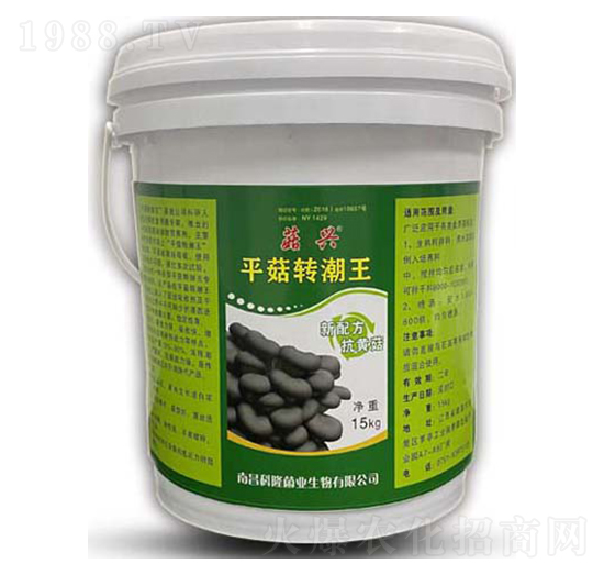 平菇轉(zhuǎn)潮王-菇興-科達生物