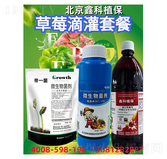 草莓滴灌套餐-鑫科植保