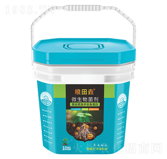 �۹Ȱ�������~(y��)����-�Z�-������r(n��ng)