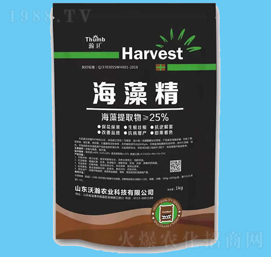 ���徫-��l(w��i)-����r�I(y��)