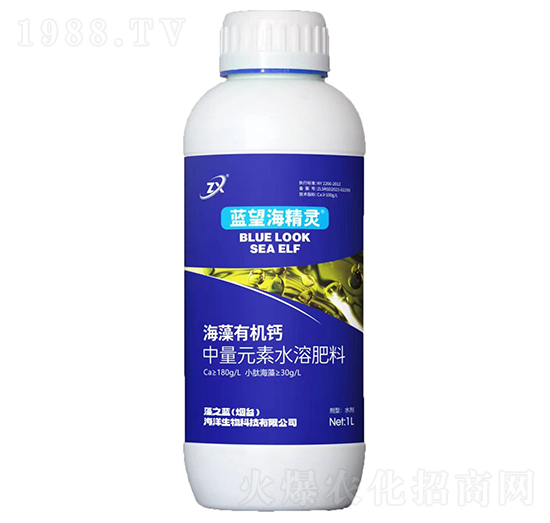 海藻有機鈣-藍(lán)望海精靈-藻之藍(lán)