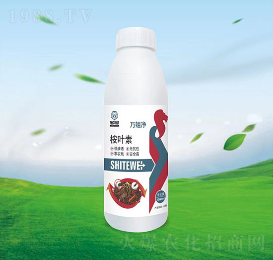 ���~��-�f����-ʩ����