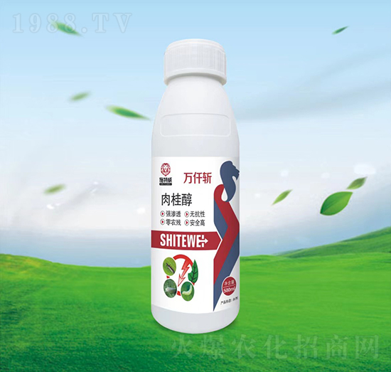 ���-�f(w��n)Ǫ��-ʩ����