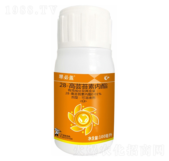 0.01%28���|̦�؃�(n��i)��-����w-����¡����