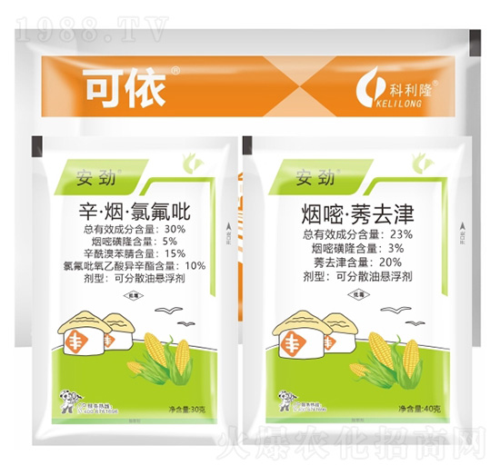 ����+�������װ���ݽM��-����¡����