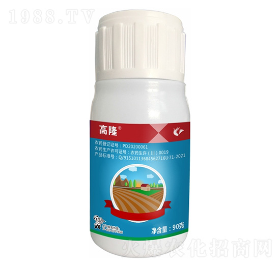 40%��������ᡤݬȥ��-��¡-����¡����