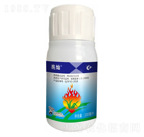 30%�������-���N-����¡����