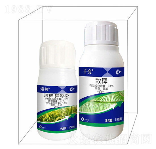 ���޽M���a(b��)���-����¡����