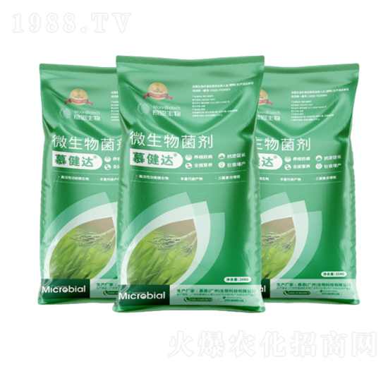 ΢�������-Ľ���_-Ľ������