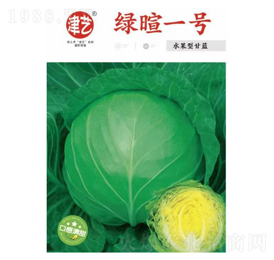甘藍種子-綠暄一號-邯豐農(nóng)業(yè)