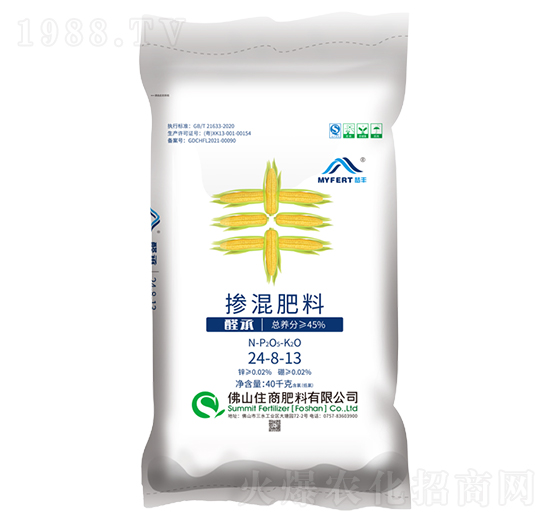 ���S��ጓ������24-8-13-ס�̷���