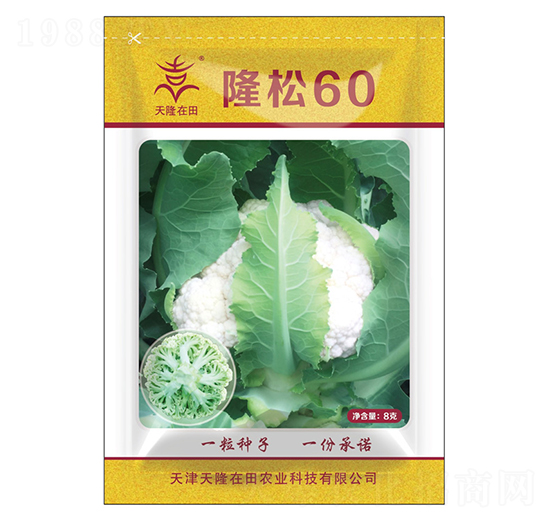 隆松60-天隆在田-天隆農(nóng)業(yè)