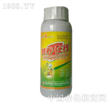 新思路-營養(yǎng)在線