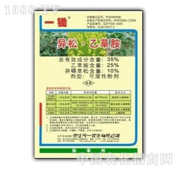 ��һ-35%�����Ҳݰ���һ�z��WP