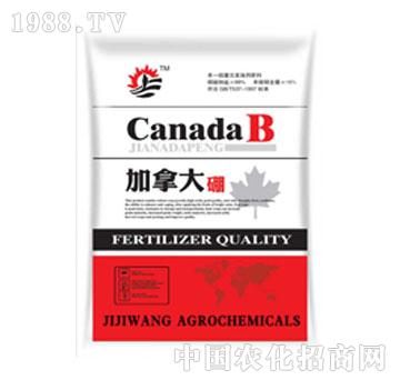季季旺-加拿大硼