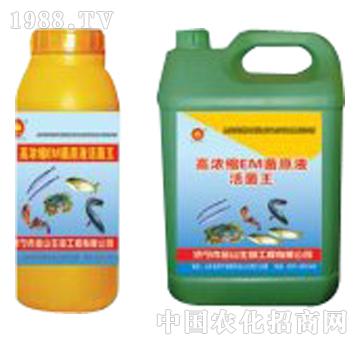 ��ɽ����-�ߝ�sEM��