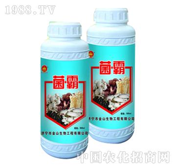 ��ɽ����-����