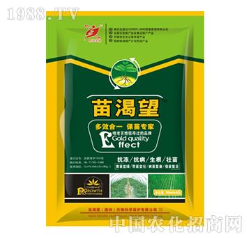 苗渴望-思遠(yuǎn)生物