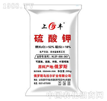 �����-���S-������