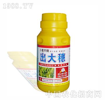 出大穗-北美農(nóng)大