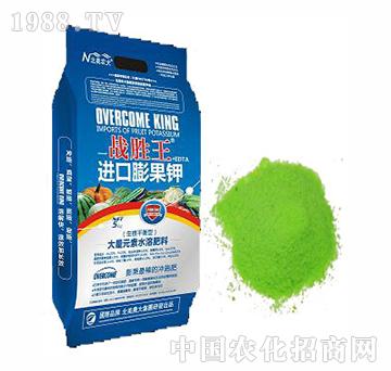 戰(zhàn)勝王進(jìn)口膨果鉀（生根平衡型)-北美農(nóng)大