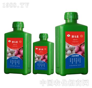 大蒜洋蔥專用氨基酸螯合液肽肥-摩卡素-強芯國際