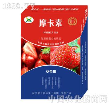 草莓專用氨基酸螯合液肽肥-摩卡素-強(qiáng)芯國際