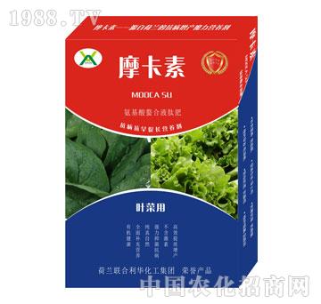 葉菜專用氨基酸螯合液肽肥-摩卡素-強芯國際